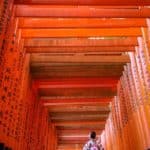 Fushima Inari Shrine Kytot