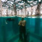 Coralarium by Jason deCaires Taylor in Fairmont Maldives