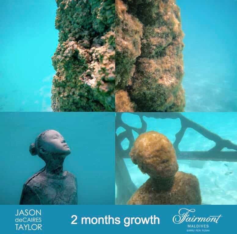 Coralarium Growth 2 months