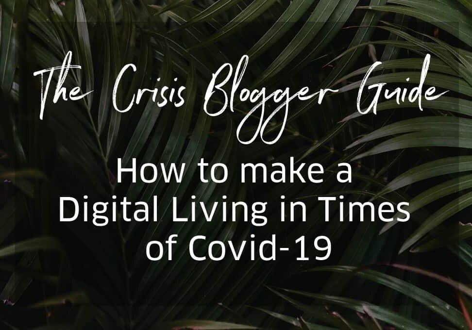 Blogger Crisis Covid Guide - how to make money online